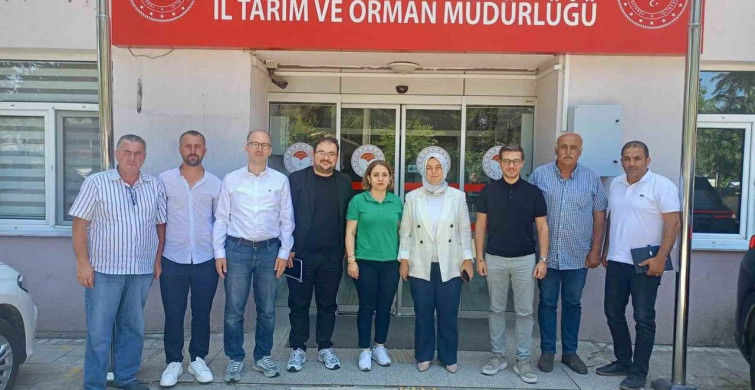 Konuralp pirinci ve Düzce kestane kabağı market raflarına taşınıyor