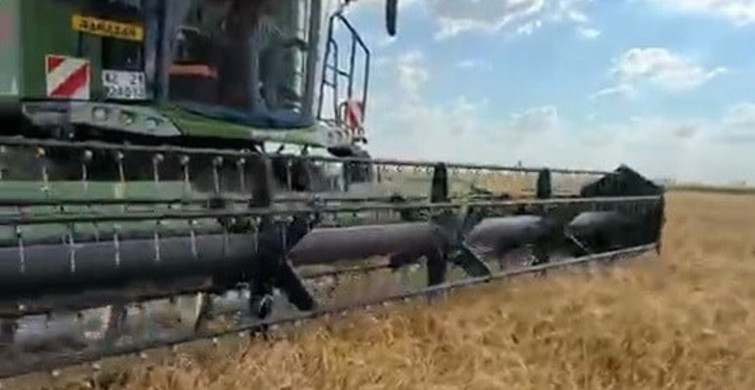 Konya'da hububat hasadı sezonu başladı