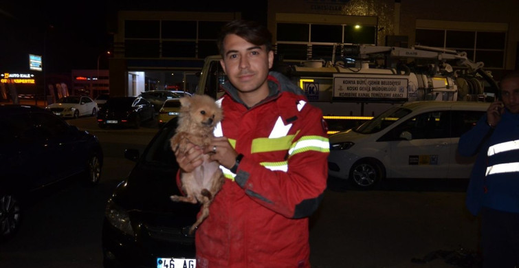 Konya'da İtfaiye Ekibi, Kanalizasyonda Sıkışan Köpek Yavrusunu Kurtardı