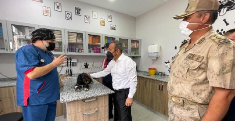 Köpeğe Eziyet Edilen Görüntüler Karşısında Valilik Harekete Geçti