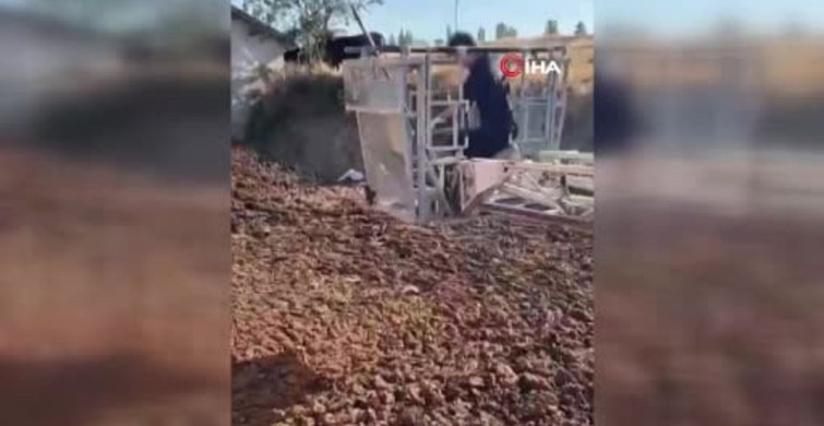 Köpeği gübre çukurunda boğulmaktan son anda kurtardılar