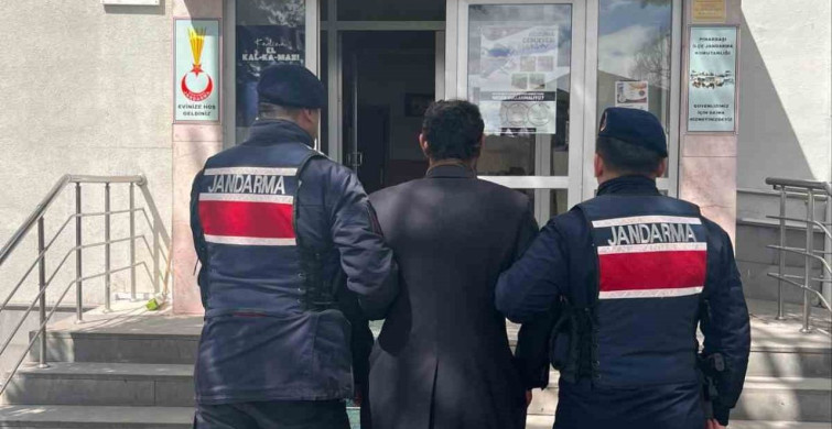 Köpeği Zincirle Ağaca Asarak Öldüren Şahıs Gözaltında