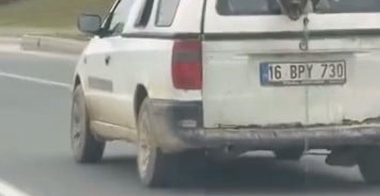 Köpeğin Eğlenceli Anları Kameralarda