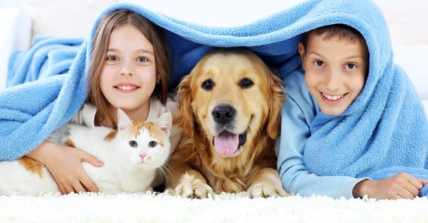 Köpek ile Büyüyen Çocukların Şizofreni İhtimali Az