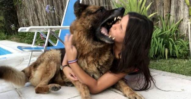 Köpekle Fotoğraf Çektirirken Ölümden Döndü!