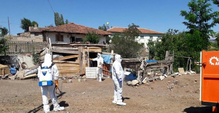 Korona İle Mücadele Devam Ederken Kuş Gribi