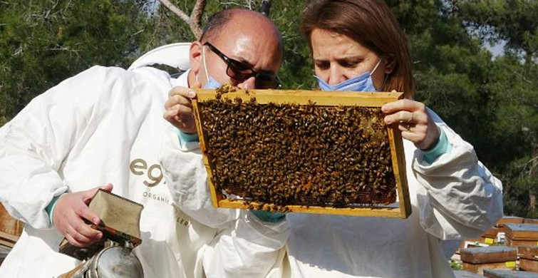 ‘Koronavirüs Sürecinde Bal Ve Arı Ürünlerine Yüzde 300 İlgi Arttı’
