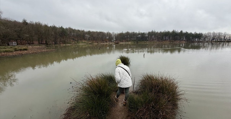 Korugöl Tabiat Parkı: Doğaseverlerin Yeni Gözdesi