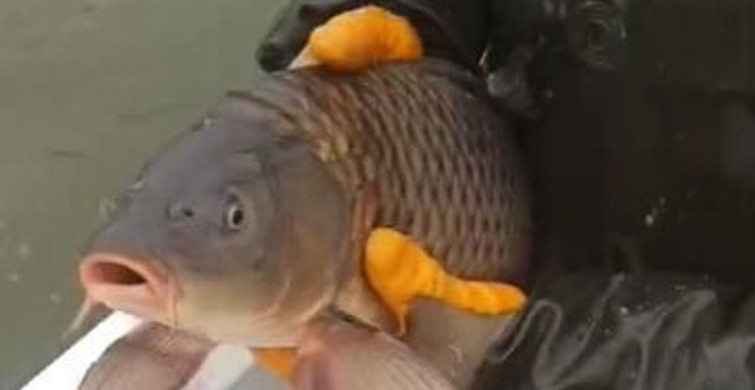 Kovada Gölü'nde Kaçak Balık Avcılığına Geçit Yok