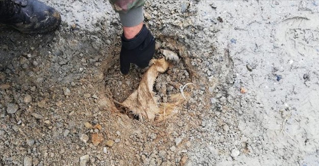 Köy Yoluna Döşenen 30 Kilogram Patlayıcı İmha Edildi