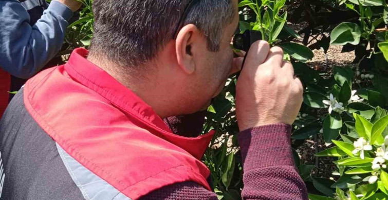 Kozan'da Biyolojik Mücadele Seferberliği