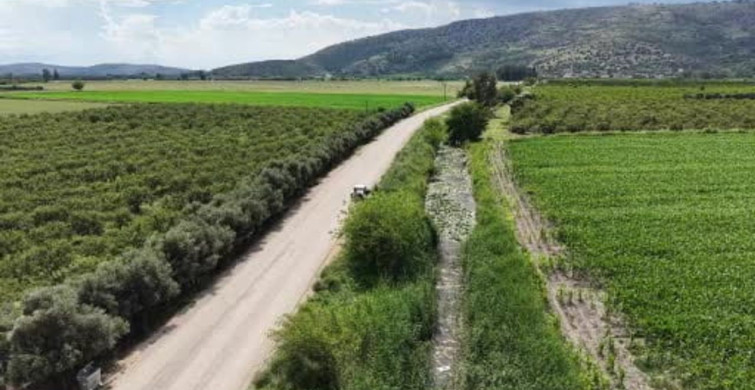 Kozan’da sarı nilüfer çiçekleri doğanın güzelliğini sergiliyor