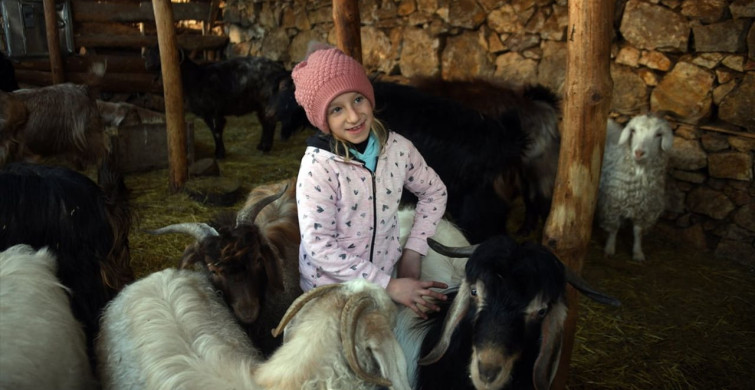 Küçük Ceyda ve Sevimli Keçileri