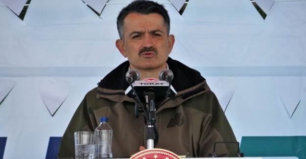 Küçükbaş Hayvan Eti Tüketimini Artırmayı Hedefliyoruz: Buğdayla Koyun; Gerisi Oyun