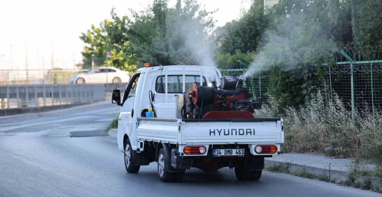 Küçükçekmece'de sivrisinek mücadelesi devam ediyor