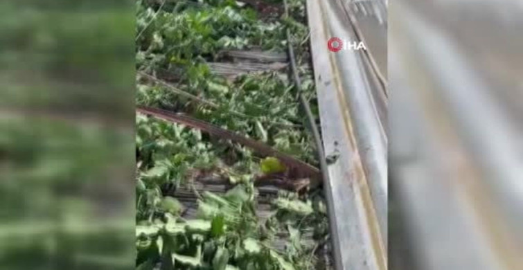 Kumluca'da Hortum Alarmı: Seralar Zarar Gördü