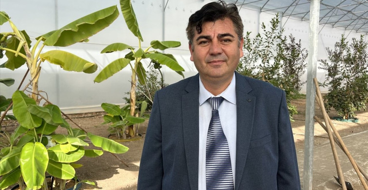 Kumluca'da Kahve Fidanı Deneme Ekimi Başlatıldı