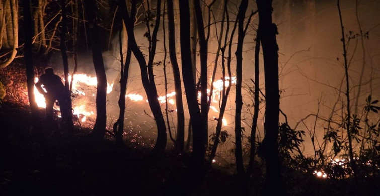 Kumru'daki örtü yangını başarıyla kontrol altına alındı