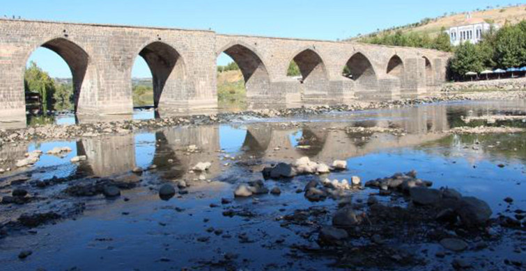 Kuraklık Nedeniyle Dicle Nehri’nde Su Seviyesi Azaldı! Balıklar Kıyıya Vurdu