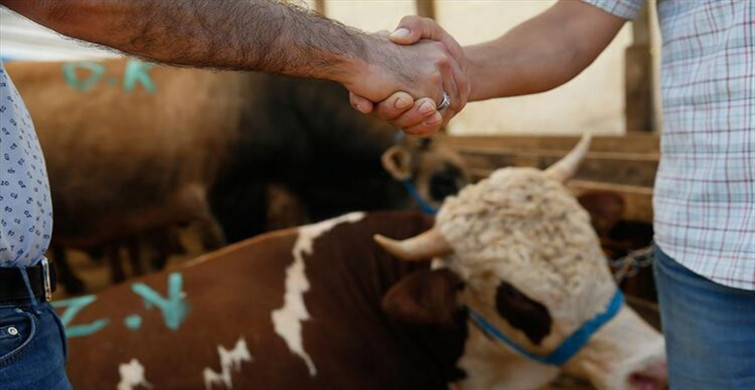 Kurban bayramı ne zaman, hangi tarihte? Kurban bayramı tatil tarihleri belli oldu mu?