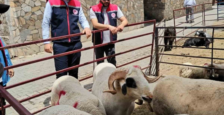 Kurban Bayramı Öncesi Bozdoğan'da Denetimler Gerçekleşti