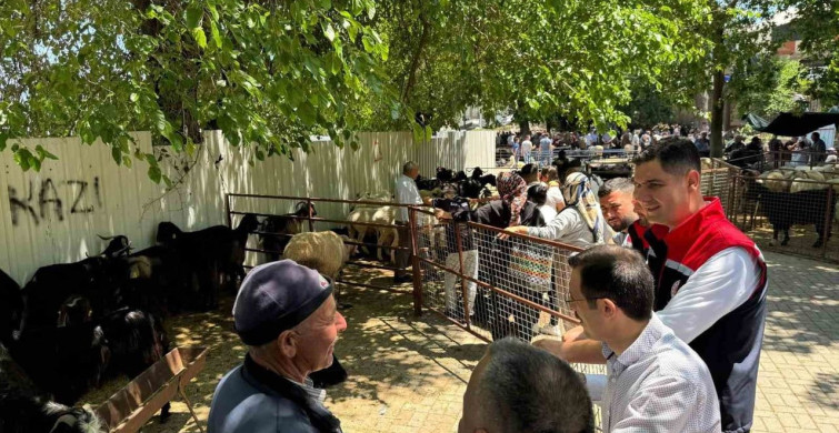 Kurban Bayramı Öncesi Bozdoğan'da Hayvan Pazarı Denetimi