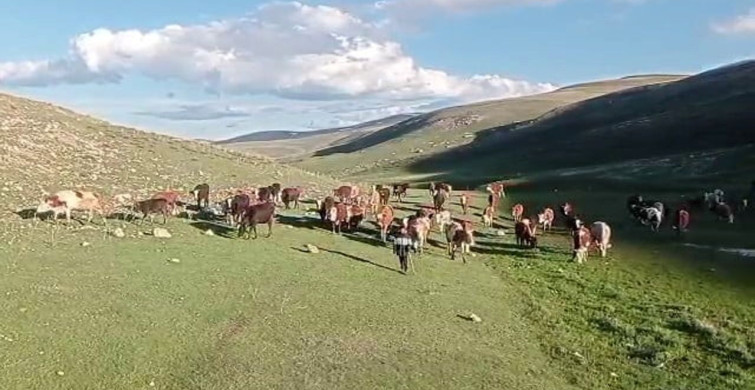 Kurban Bayramı Öncesi Dolandırıcılığa Dikkat!