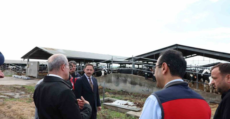 Kurban Bayramı Öncesi Hayvancılık İncelemesi
