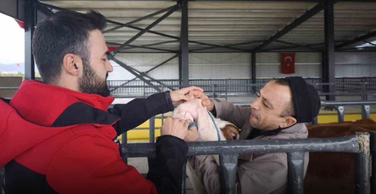 Kurban Bayramı Öncesi Kurbanlık Denetimleri Sıkılaştırıldı