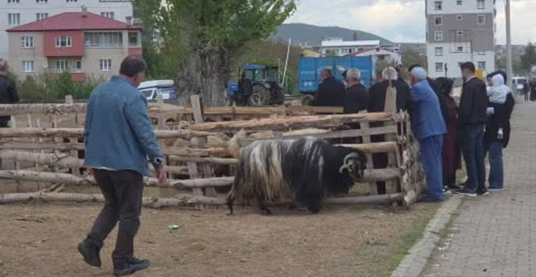 Kurban Bayramı Öncesi Sağlık Uyarıları