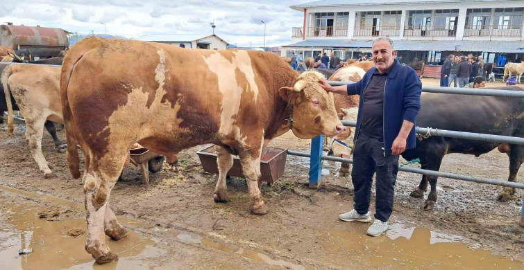 Kurban Bayramı Öncesi Satışta Şampiyon Tosun: Çakır