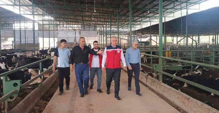 Kurban Bayramı Öncesi Sıkı Hayvan Denetimi