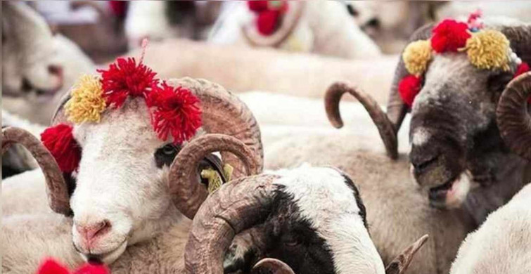 Kurban Bayramı tatili ne zaman, hangi tarihte başlıyor? Kurban Bayramı 2022 ne zamana denk geliyor?
