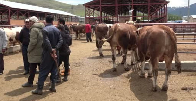 Kurban Eti Tüketimi İçin Uzman Uyarıları