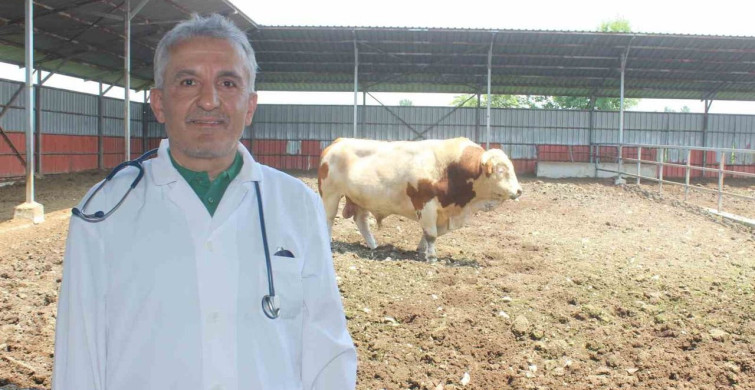 Kurban Kesiminde Dikkat Edilmesi Gerekenler
