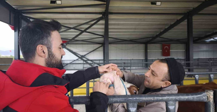 Kurbanlık Denetimleri Hız Kesmeden Devam Ediyor
