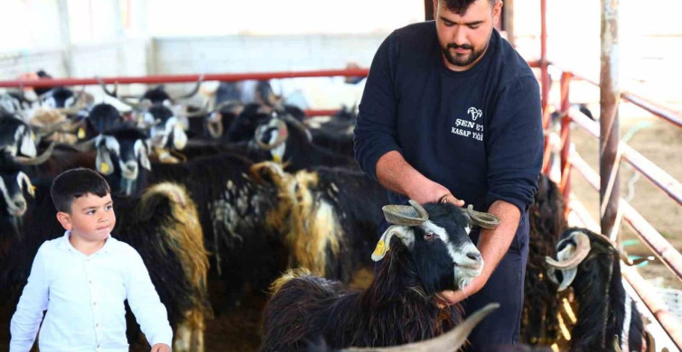 Kurbanlık Seçerken Dikkat Edilmesi Gerekenler