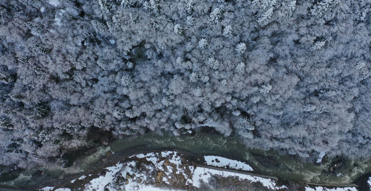Küre Dağları'nda Kış Manzarası