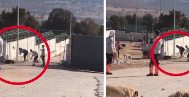 Kürekle köpek öldüren sanıkların cezası belli oldu