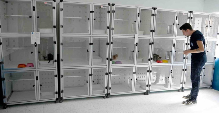 Kuşadası Belediyesi'nden Patili Dostlara Destek