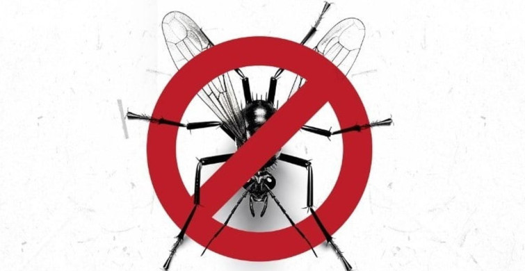 Kuşadası Belediyesi'nden Vektörle Mücadele Açıklaması