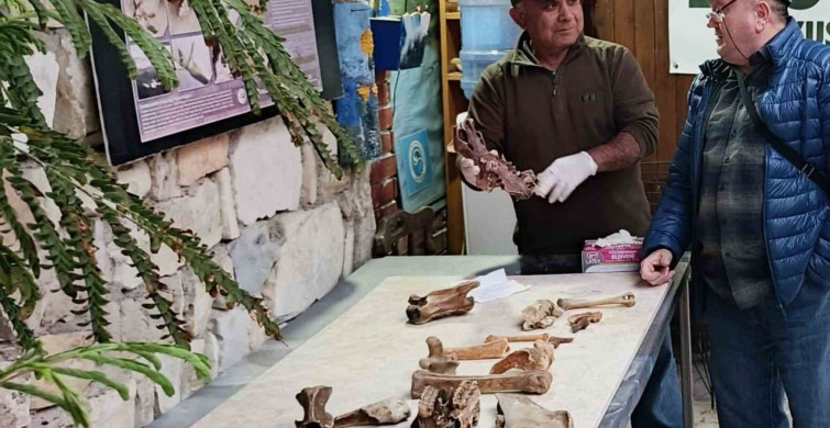 Kuşadası Kıyılarında Fırtına Sonrası Kemik İncelemesi