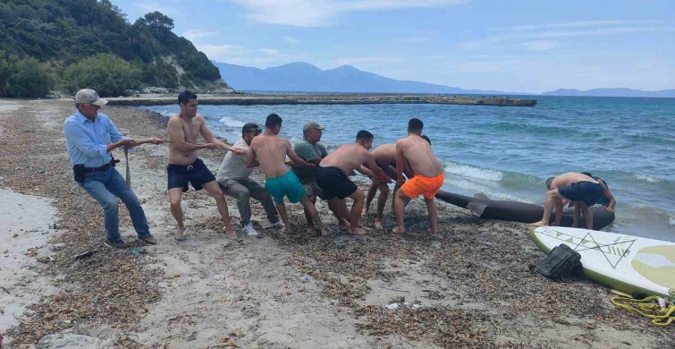 Kuşadası kıyısında 3,85 metrelik boz camgöz köpekbalığı bulundu
