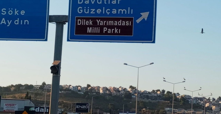 Kuşadası'nda Leylekler Geri Döndü