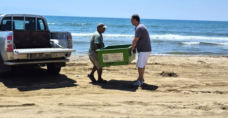 Kuşadası'nda üreme dönemi için gelen 3 caretta caretta'nın ölümü