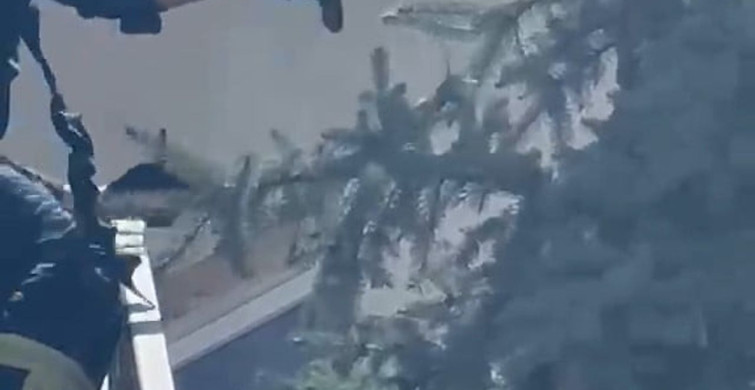 Kütahya'da ağaca takılan serçe itfaiye ekiplerince kurtarıldı