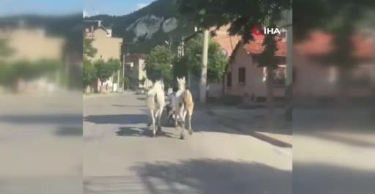 Kütahya'da atları motosikletine bağlayan vatandaşın trafiğe çıkışı görüntülendi