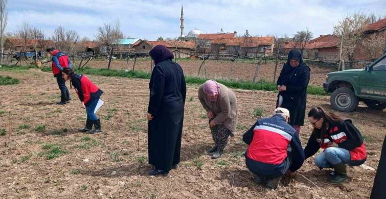 Kütahya'da Çiftçilere İyi Tarım Uygulamaları Eğitimi