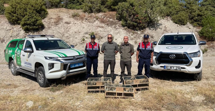 Kütahya'da Ele Geçirilen 142 Saka Kuşu Doğaya Yeniden Kazandırıldı