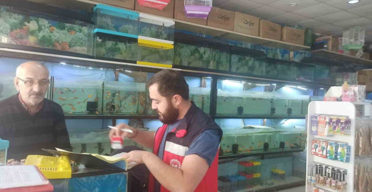 Kütahya'da Ev Hayvanı Satış Yerlerinde Denetimler Yapıldı
